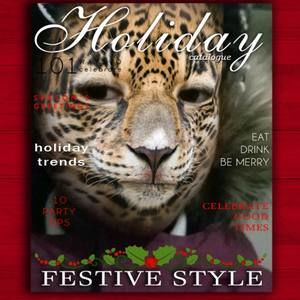 Meet your Posher, Sally